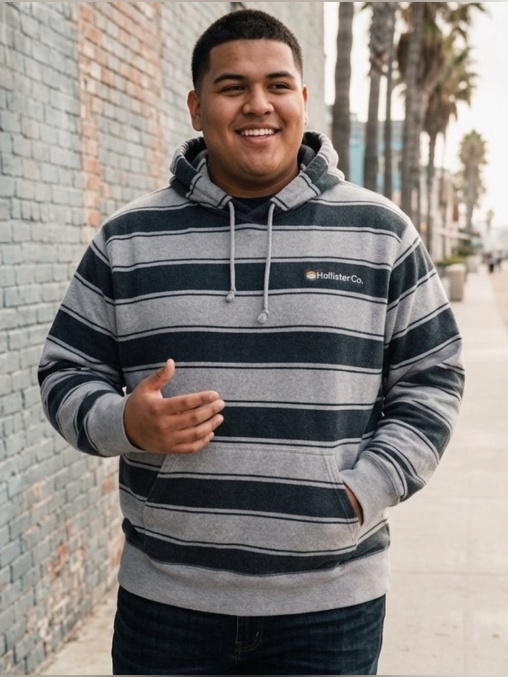 Hollister Co. Men's Striped Pullover Hoodie Gray Black XL Embroidered Logo